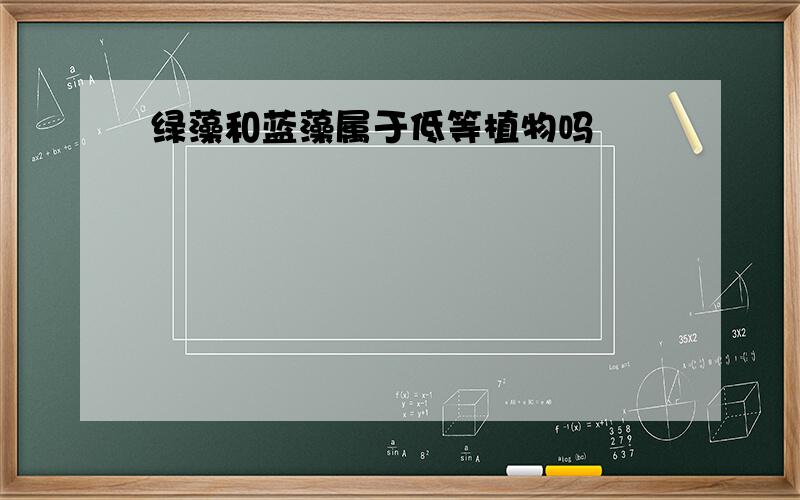 绿藻和蓝藻属于低等植物吗