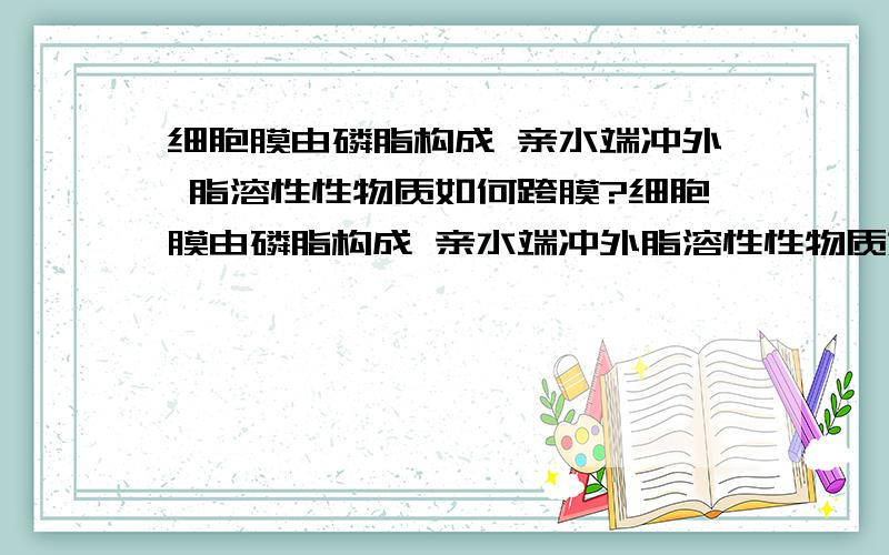 细胞膜由磷脂构成 亲水端冲外 脂溶性性物质如何跨膜?细胞膜由磷脂构成 亲水端冲外脂溶性性物质如何跨膜?