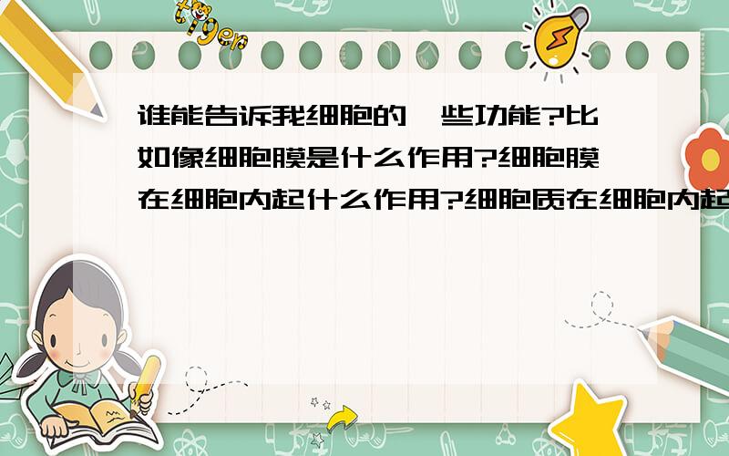 谁能告诉我细胞的一些功能?比如像细胞膜是什么作用?细胞膜在细胞内起什么作用?细胞质在细胞内起什么作用?细胞核在细胞内起什么作用?还有,细胞内控制物质进出的是细胞的什么?细胞内进