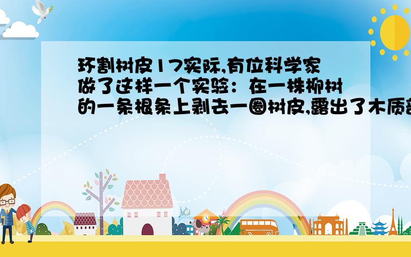 环割树皮17实际,有位科学家做了这样一个实验：在一株柳树的一条根条上剥去一圈树皮,露出了木质部.一段时间后他发现剥去树皮后的枝条可以继续生长,但切口上方的树皮明显增厚……①树