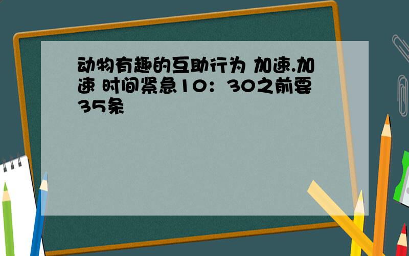 动物有趣的互助行为 加速.加速 时间紧急10：30之前要35条