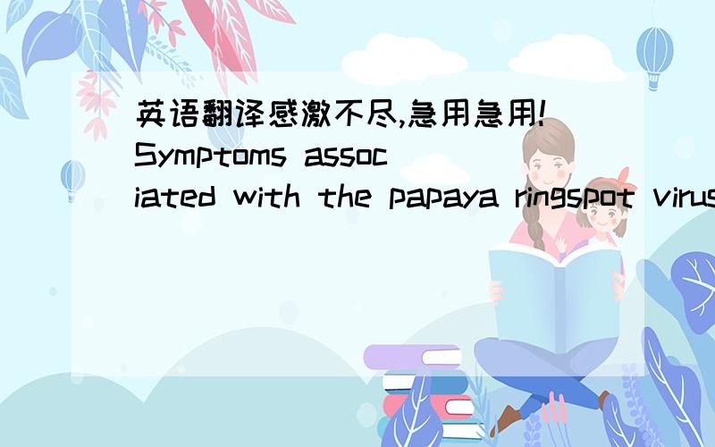 英语翻译感激不尽,急用急用!Symptoms associated with the papaya ringspot virus (PRSV) were observed in papaya fields from eastern Cuba affected with the ‘Bunchy Top Symptom’ (BTS) phytoplasma.Total DNA and RNA extracted from symptomatic