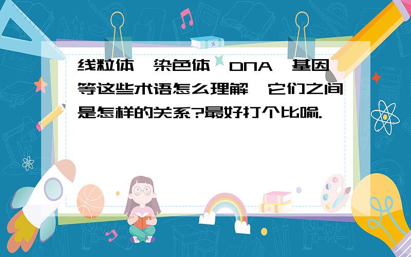 线粒体、染色体、DNA、基因等这些术语怎么理解,它们之间是怎样的关系?最好打个比喻.