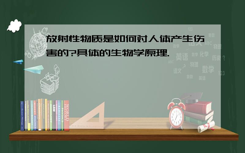 放射性物质是如何对人体产生伤害的?具体的生物学原理.