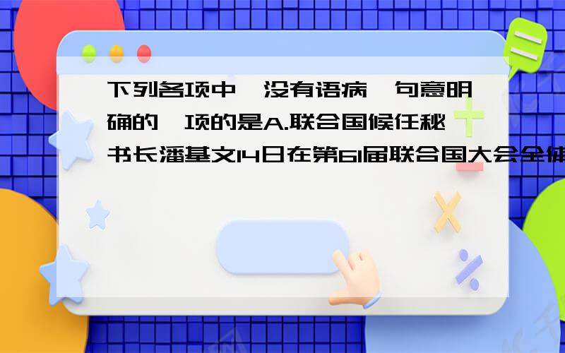 下列各项中,没有语病,句意明确的一项的是A.联合国候任秘书长潘基文14日在第61届联合国大会全体会议上宣誓就职,并从2007年1月1日起将行使联合国秘书长职权.B.近年来,国家领导和国土资源部