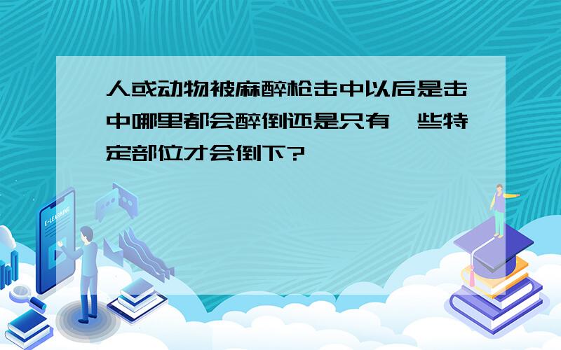 人或动物被麻醉枪击中以后是击中哪里都会醉倒还是只有一些特定部位才会倒下?