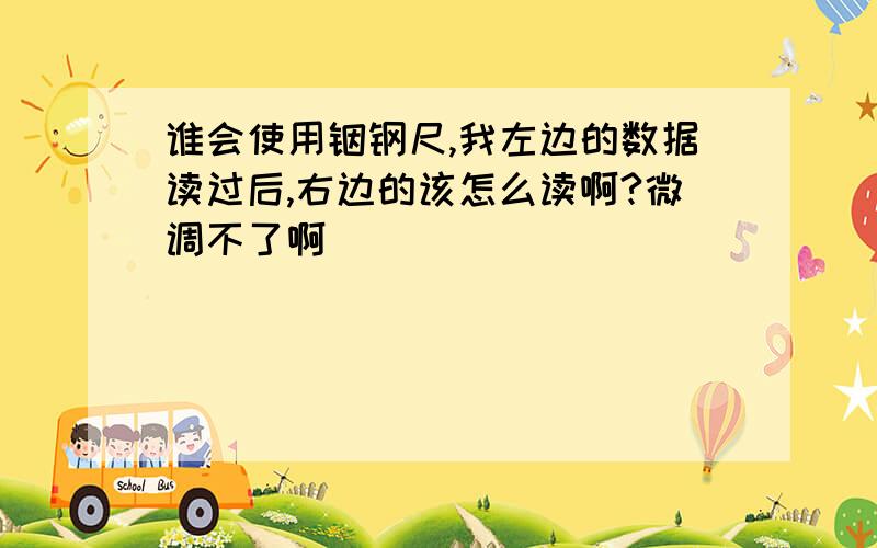 谁会使用铟钢尺,我左边的数据读过后,右边的该怎么读啊?微调不了啊