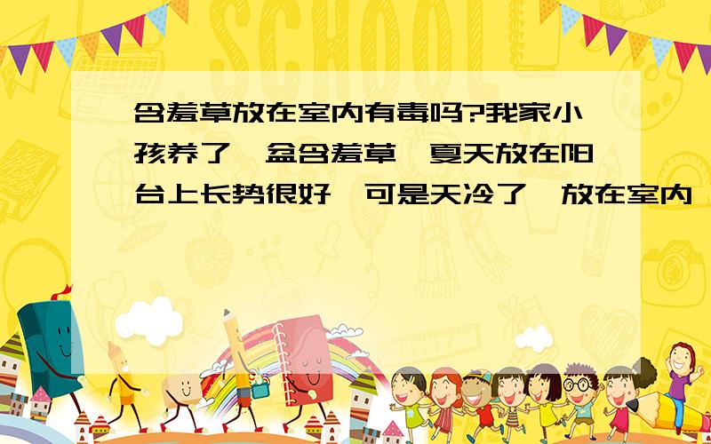 含羞草放在室内有毒吗?我家小孩养了一盆含羞草,夏天放在阳台上长势很好,可是天冷了,放在室内,有人说有毒,我想知道