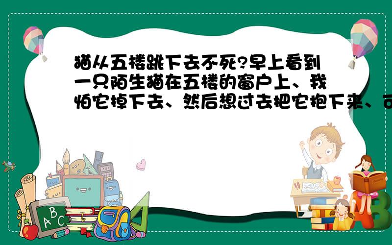 猫从五楼跳下去不死?早上看到一只陌生猫在五楼的窗户上、我怕它掉下去、然后想过去把它抱下来、可是它看到我很害怕、就跳下去了、看到是肚子着地、也看到从它嘴里有血、可是等我下