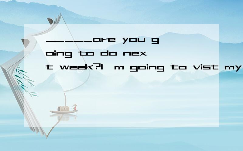 _____are you going to do next week?I'm going to vist my friends只能用疑问词.