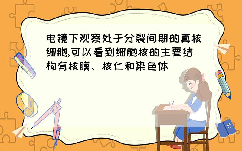 电镜下观察处于分裂间期的真核细胞,可以看到细胞核的主要结构有核膜、核仁和染色体