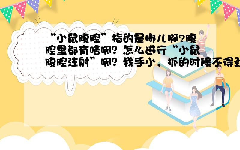 “小鼠腹腔”指的是哪儿啊?腹腔里都有啥啊？怎么进行“小鼠腹腔注射”啊？我手小，抓的时候不得劲儿。抓了好几回，小老鼠都急了，直咬我。