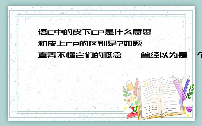 语C中的皮下CP是什么意思,和皮上CP的区别是?如题,一直弄不懂它们的概念……曾经以为是一个可以有很多个一个只能有一个,然后皮下是用本体,但后来被告诉不是……所以到底是什么?