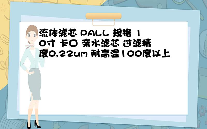 流体滤芯 PALL 规格 10寸 卡口 亲水滤芯 过滤精度0.22um 耐高温100度以上