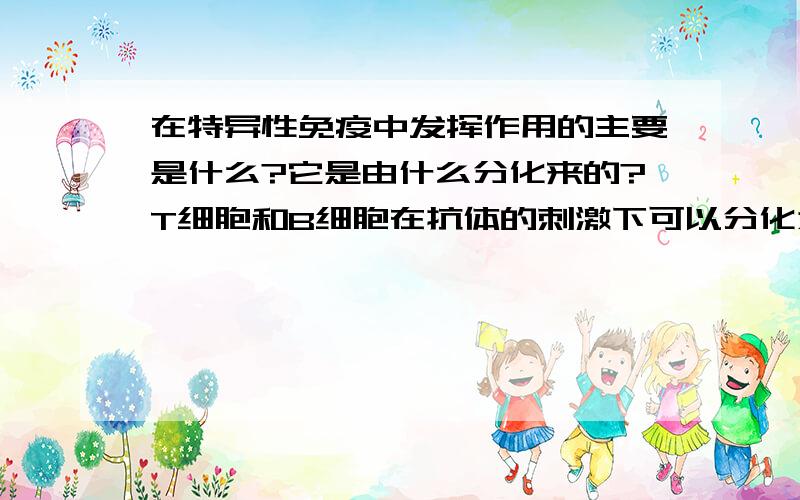 在特异性免疫中发挥作用的主要是什么?它是由什么分化来的?T细胞和B细胞在抗体的刺激下可以分化为什么?