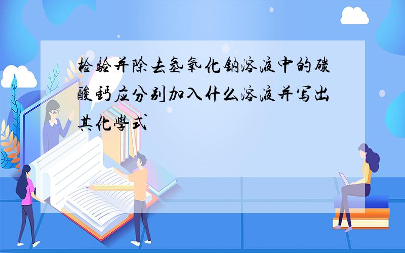 检验并除去氢氧化钠溶液中的碳酸钙应分别加入什么溶液并写出其化学式