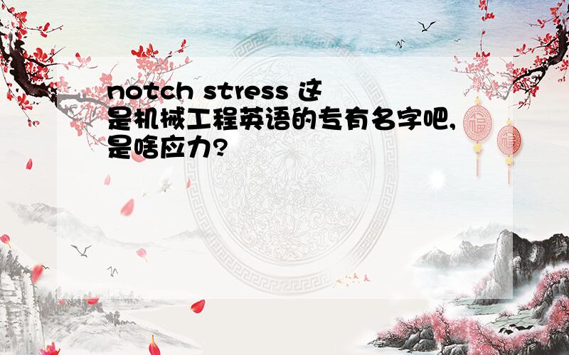 notch stress 这是机械工程英语的专有名字吧,是啥应力?