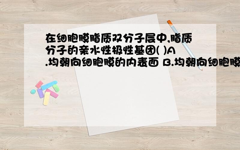 在细胞膜脂质双分子层中,脂质分子的亲水性极性基团( )A.均朝向细胞膜的内表面 B.均朝向细胞膜的外表面 C.朝向细胞膜的内表面和外表面 D.排列无规律性