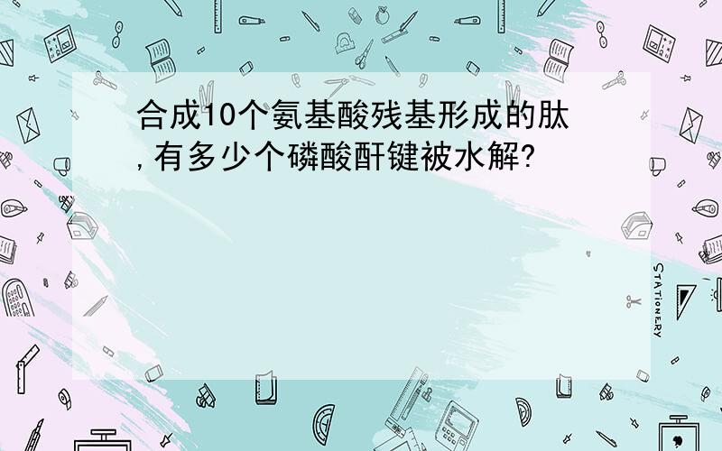 合成10个氨基酸残基形成的肽,有多少个磷酸酐键被水解?