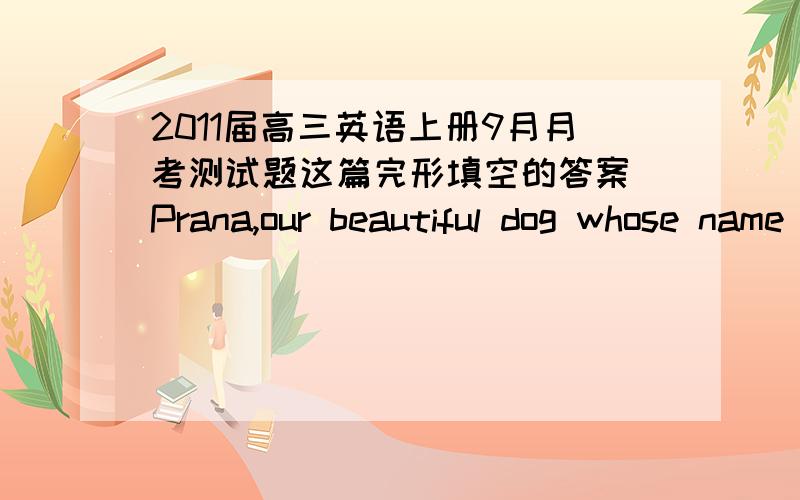 2011届高三英语上册9月月考测试题这篇完形填空的答案 Prana,our beautiful dog whose name means   速求!这篇的答案,二十个!