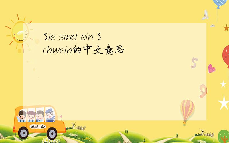 Sie sind ein Schwein的中文意思