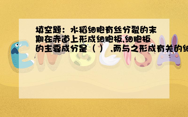 填空题：水稻细胞有丝分裂的末期在赤道上形成细胞板,细胞板的主要成分是（ ） ,而与之形成有关的细胞器为（ ）.