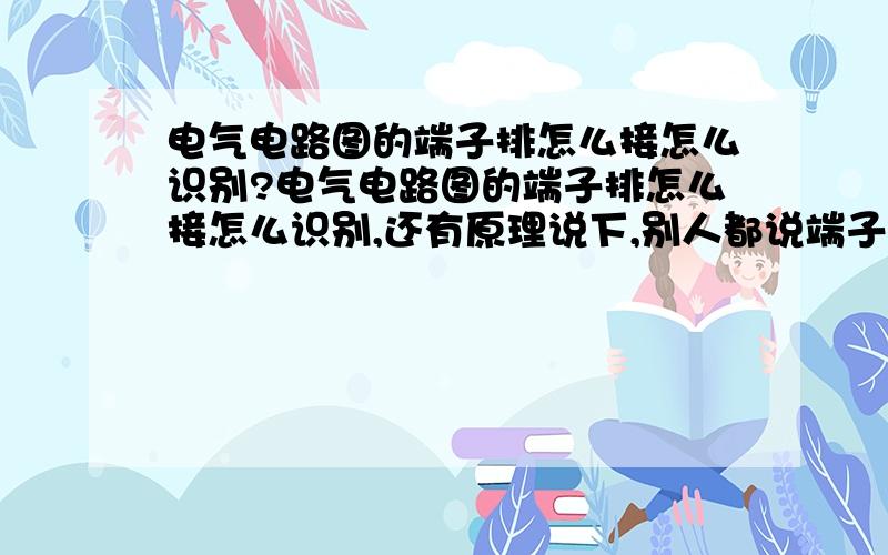 电气电路图的端子排怎么接怎么识别?电气电路图的端子排怎么接怎么识别,还有原理说下,别人都说端子排还简单,我就是搞不懂啊,高手帮帮忙!