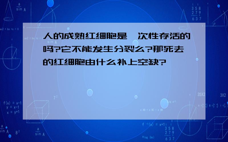 人的成熟红细胞是一次性存活的吗?它不能发生分裂么?那死去的红细胞由什么补上空缺?