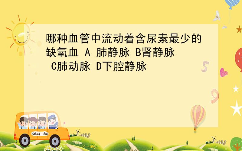 哪种血管中流动着含尿素最少的缺氧血 A 肺静脉 B肾静脉 C肺动脉 D下腔静脉