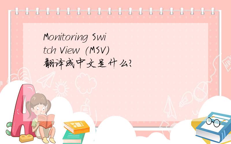 Monitoring Switch View (MSV)翻译成中文是什么?