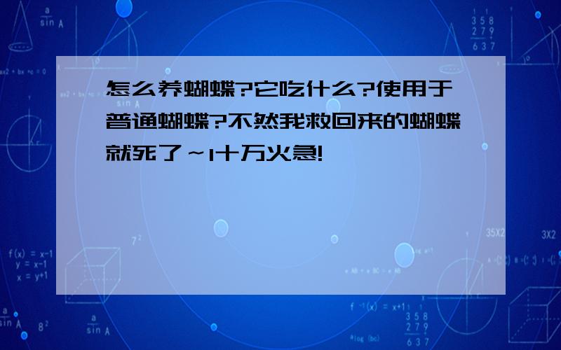 怎么养蝴蝶?它吃什么?使用于普通蝴蝶?不然我救回来的蝴蝶就死了～1十万火急!