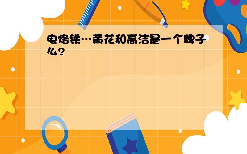 电烙铁…黄花和高洁是一个牌子么?