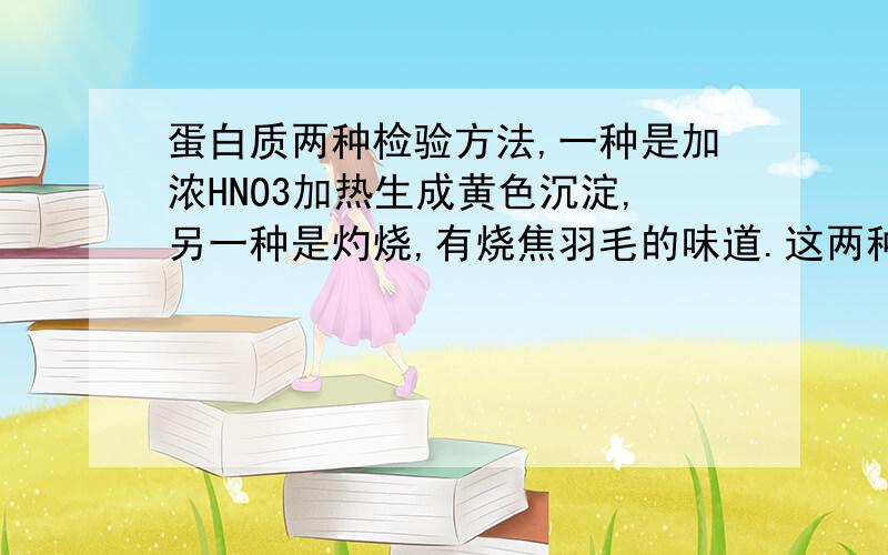 蛋白质两种检验方法,一种是加浓HNO3加热生成黄色沉淀,另一种是灼烧,有烧焦羽毛的味道.这两种检验方法能写化学方程式么?