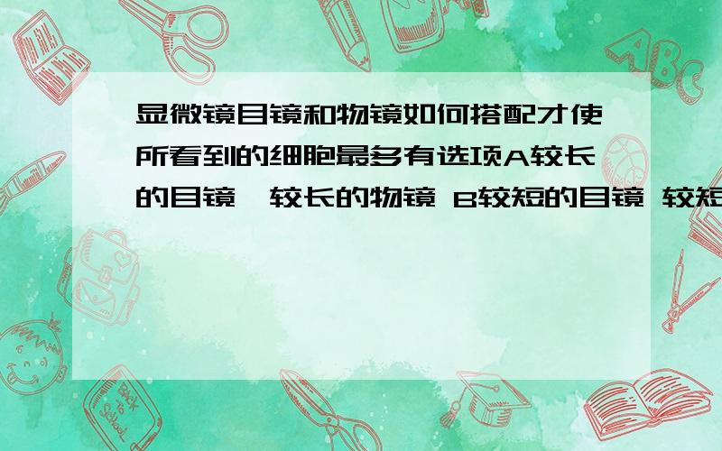 显微镜目镜和物镜如何搭配才使所看到的细胞最多有选项A较长的目镜,较长的物镜 B较短的目镜 较短的物镜C较长的目镜 较短的物镜 D较短的目镜 较长的物镜