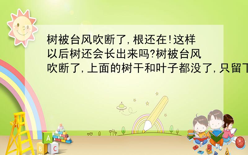 树被台风吹断了,根还在!这样以后树还会长出来吗?树被台风吹断了,上面的树干和叶子都没了,只留下很短的一小节露在外面,但是树根依然埋在土里没事,这样以后树还会长出来吗有懂这个的朋