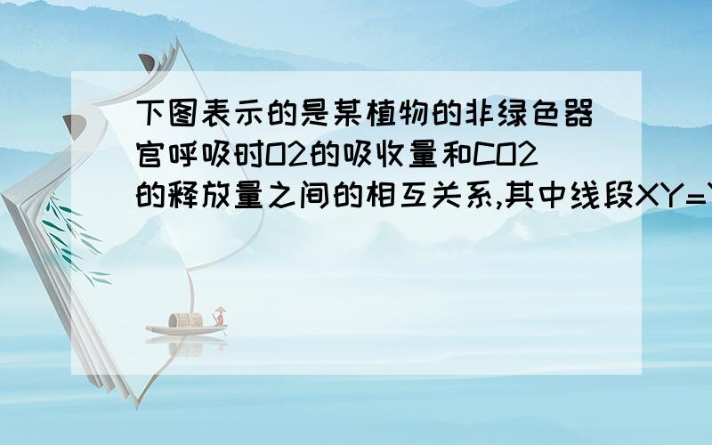 下图表示的是某植物的非绿色器官呼吸时O2的吸收量和CO2的释放量之间的相互关系,其中线段XY=YZ,则在氧浓度a时     (    )A. 有氧呼吸比无氧呼吸释放的能量多 B. 有氧呼吸比无氧呼吸消耗的有机