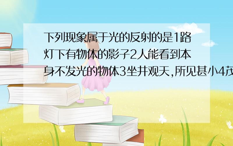 下列现象属于光的反射的是1路灯下有物体的影子2人能看到本身不发光的物体3坐井观天,所见甚小4茂密的树荫下看到圆形的光斑