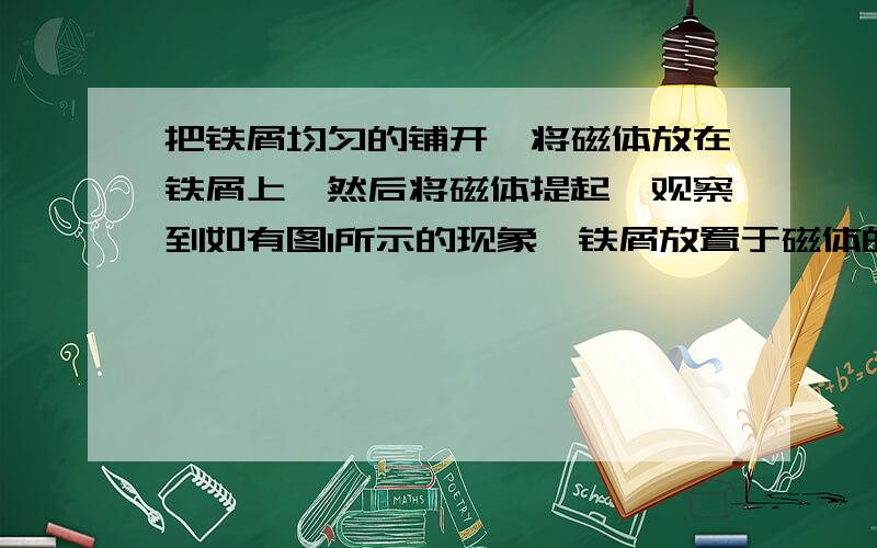 把铁屑均匀的铺开,将磁体放在铁屑上,然后将磁体提起,观察到如有图1所示的现象,铁屑放置于磁体的磁场中首先被_____,然后_________吸引.