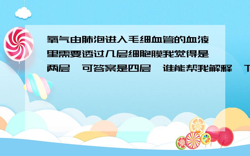 氧气由肺泡进入毛细血管的血液里需要透过几层细胞膜我觉得是两层,可答案是四层,谁能帮我解释一下