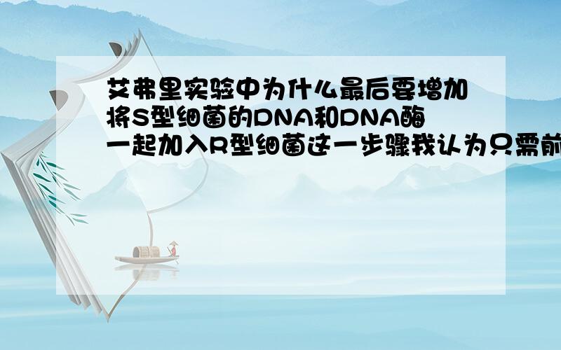 艾弗里实验中为什么最后要增加将S型细菌的DNA和DNA酶一起加入R型细菌这一步骤我认为只需前三部够了啊,因为其中有一步只有加入S型细菌的DNA到R型细菌有S型菌落和R型菌落,这不就达到艾弗