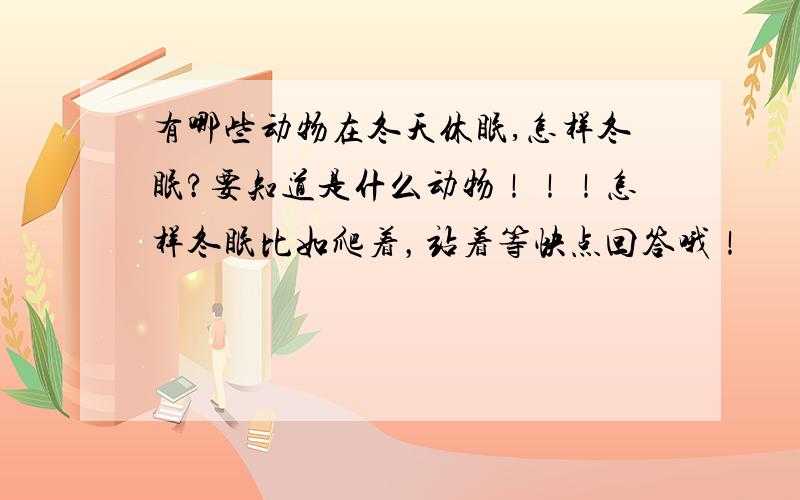 有哪些动物在冬天休眠,怎样冬眠?要知道是什么动物！！！怎样冬眠比如爬着，站着等快点回答哦！