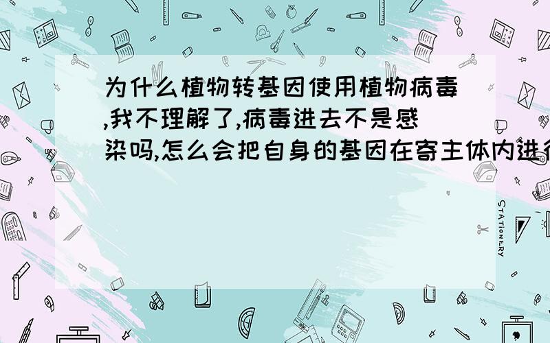 为什么植物转基因使用植物病毒,我不理解了,病毒进去不是感染吗,怎么会把自身的基因在寄主体内进行表达.而且只表达转基因的那片段,自身的基因不会表达,为什么呢