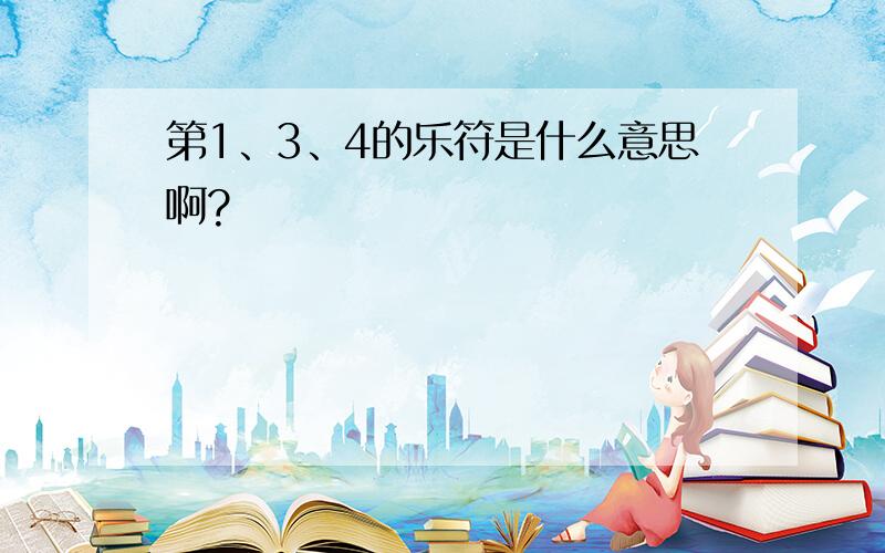 第1、3、4的乐符是什么意思啊?