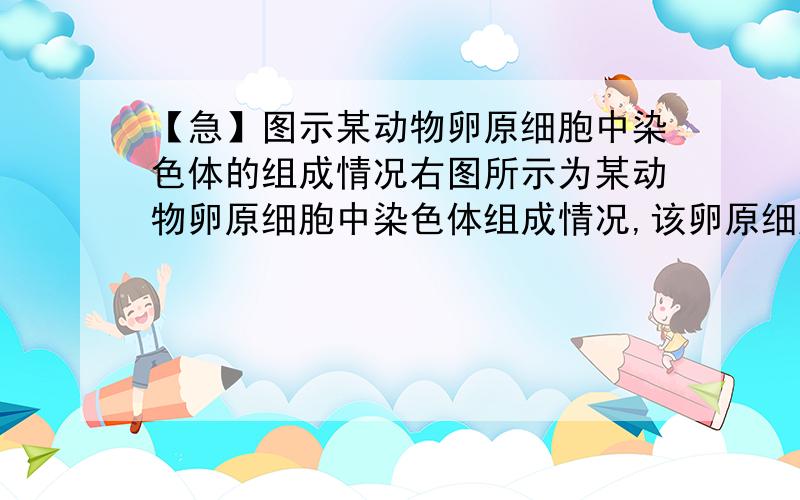 【急】图示某动物卵原细胞中染色体的组成情况右图所示为某动物卵原细胞中染色体组成情况,该卵原细胞经减数 分裂产生3个极体和1个卵细胞.其中一个极体的染色体组成是l、3.则卵细胞中