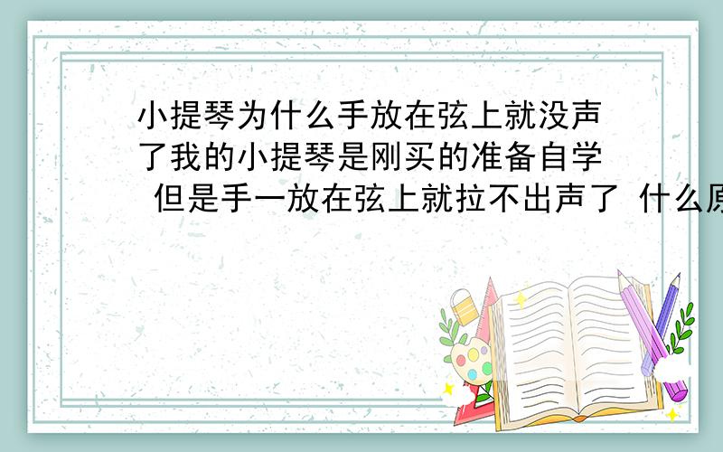 小提琴为什么手放在弦上就没声了我的小提琴是刚买的准备自学 但是手一放在弦上就拉不出声了 什么原因呢