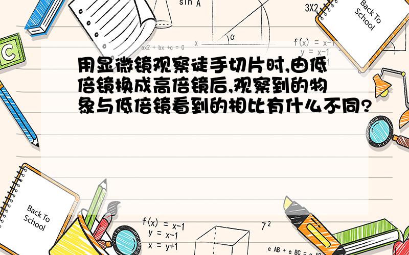 用显微镜观察徒手切片时,由低倍镜换成高倍镜后,观察到的物象与低倍镜看到的相比有什么不同?