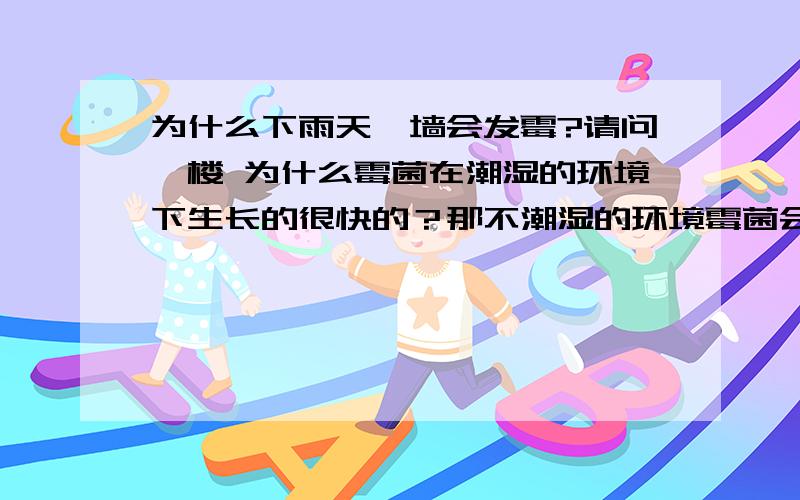 为什么下雨天,墙会发霉?请问一楼 为什么霉菌在潮湿的环境下生长的很快的？那不潮湿的环境霉菌会不会生长还是死亡？请问三楼 为什么 霉菌适合在潮湿的地方生存,不适合低温,高温,辐射,