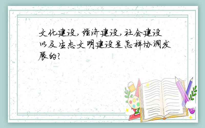 文化建设,经济建设,社会建设以及生态文明建设是怎样协调发展的?