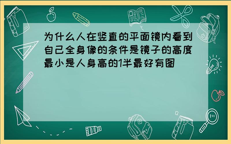 为什么人在竖直的平面镜内看到自己全身像的条件是镜子的高度最小是人身高的1半最好有图