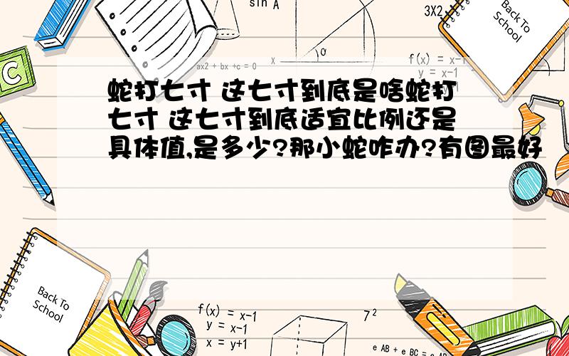 蛇打七寸 这七寸到底是啥蛇打七寸 这七寸到底适宜比例还是具体值,是多少?那小蛇咋办?有图最好